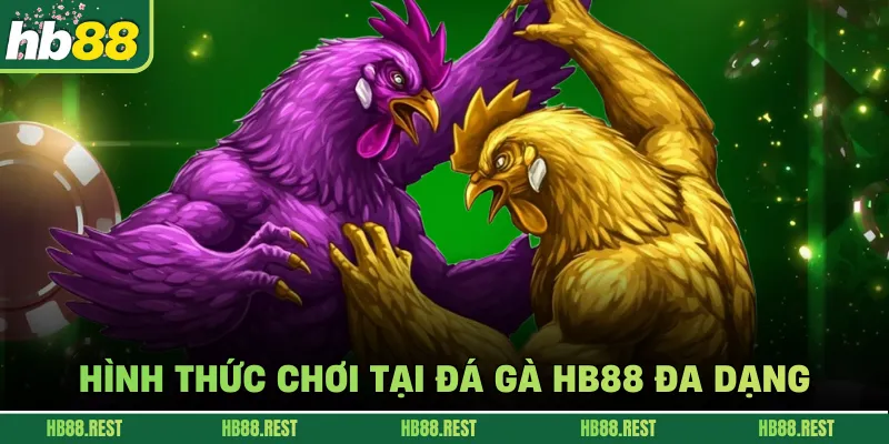 Hình thức chơi tại đá gà HB88 đa dạng.