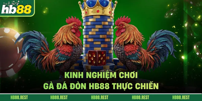 Kinh nghiệm chơi gà đá đòn HB88 thực chiến.